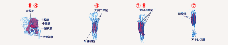 イメージ図 坐骨神経痛・股関節・膝